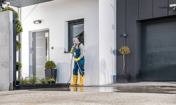 Best Gutter Cleaning  in Chandler, IN